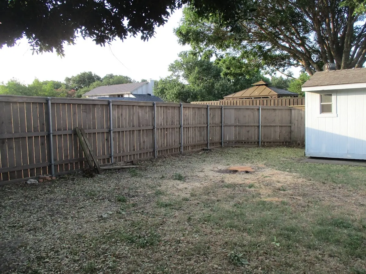 Cleared yard after professional tree removal in Cotati